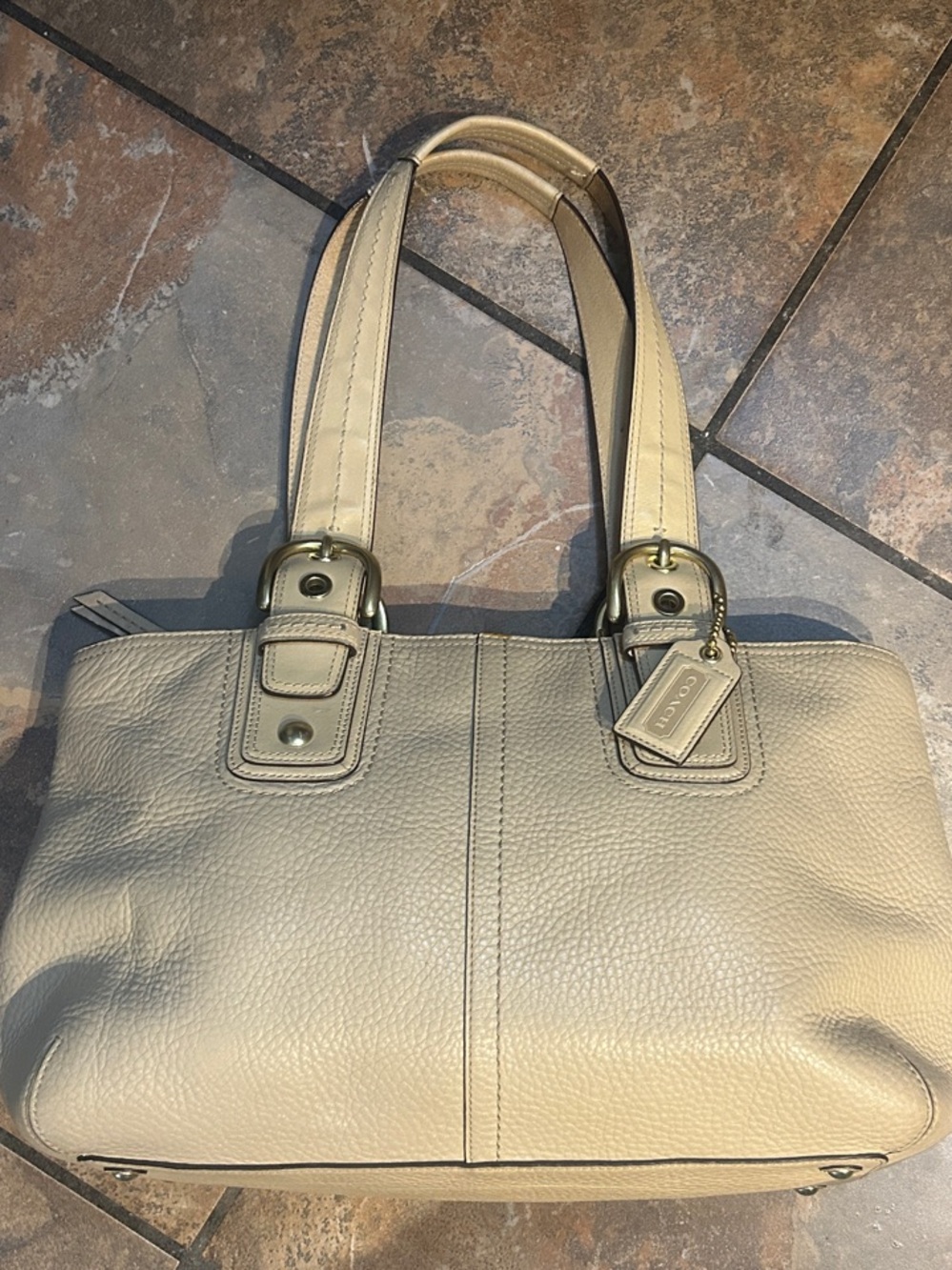 Coach Soho Y2K Pleated Pebbled Leather Tote (Style No. F13732)
